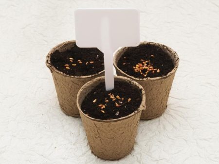 Biodegradable cardboard pots For Discount