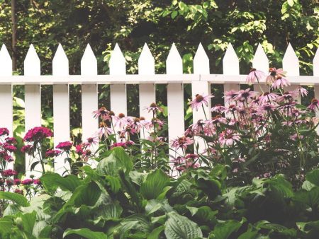 Wooden Fence Fashion