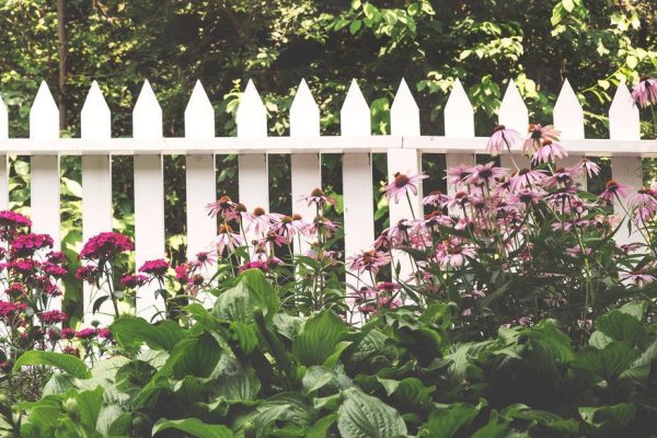 Wooden Fence Fashion