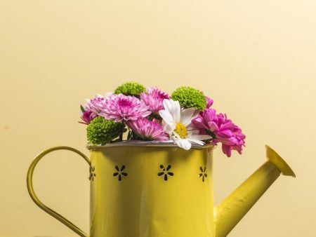 Yellow watering can Online Sale