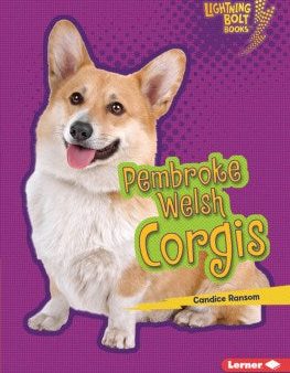 Pembroke Welsh Corgis Online